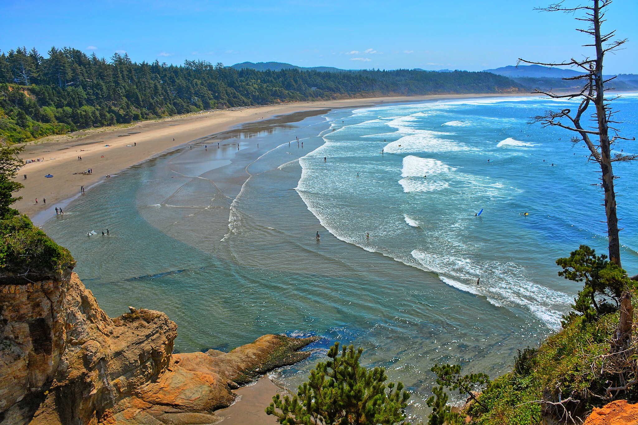 whale watching in oregon