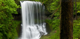 silver falls state park hike