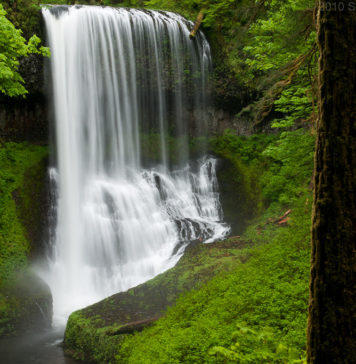 silver falls state park hike