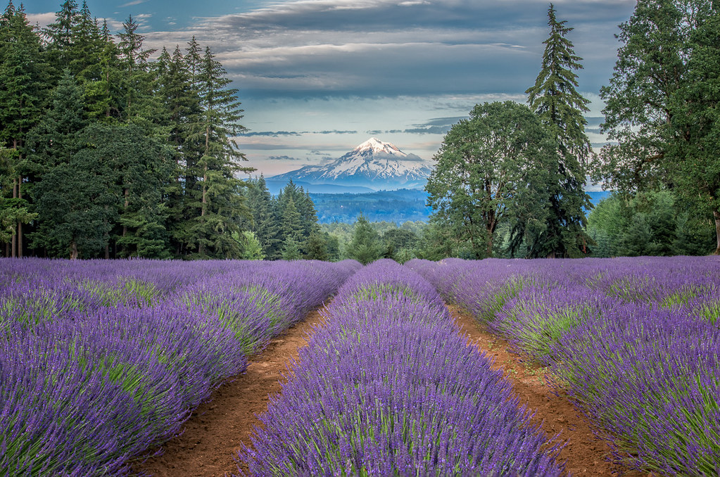 Oregon Mountains