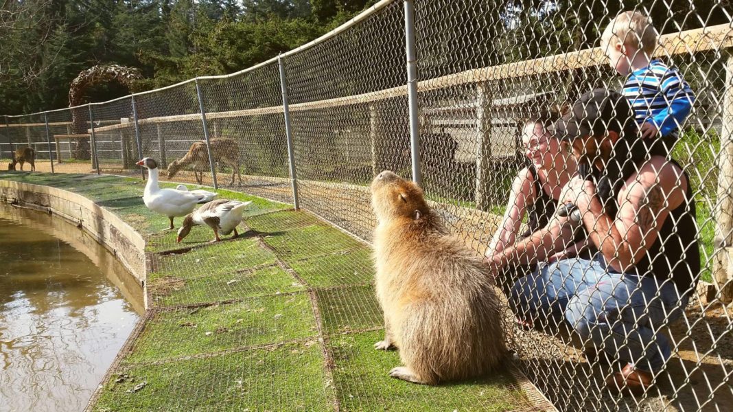 Add Charming Coastal Town Of Bandon To Your Oregon Travel List