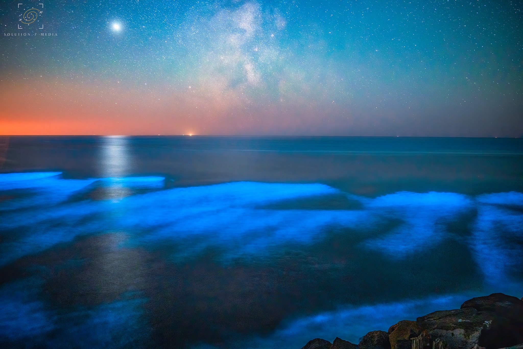 bioluminescent shore