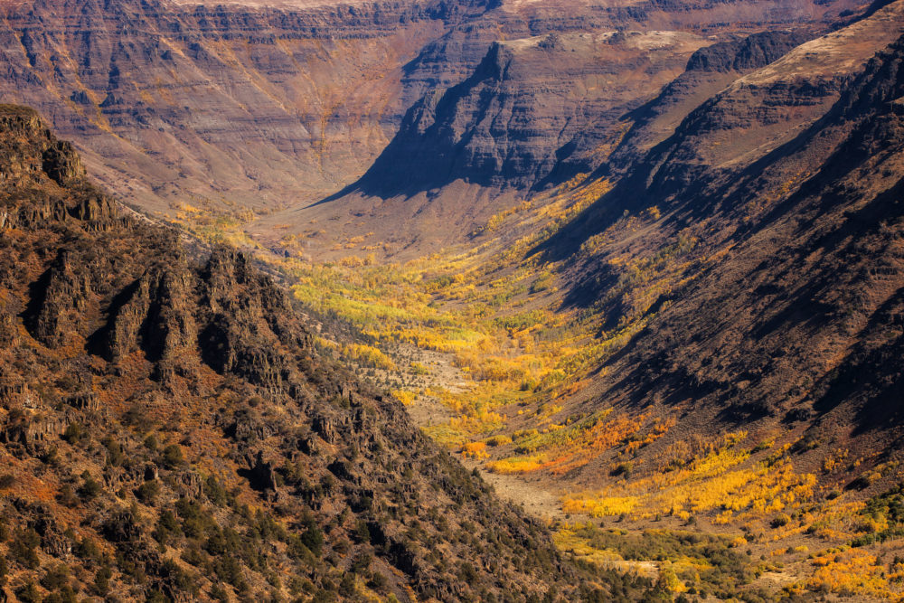 2024 Guide To Oregon's Steens Mountain Wilderness