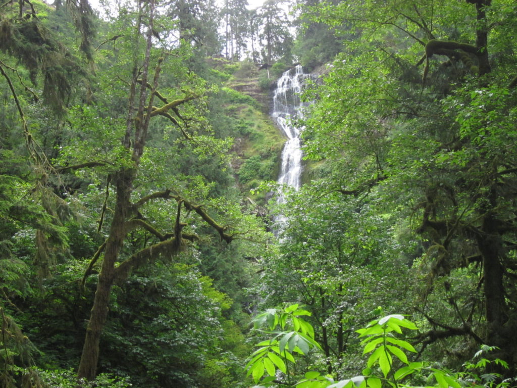 oregon coast waterfall munson creek falls