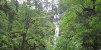 oregon coast waterfall munson creek falls