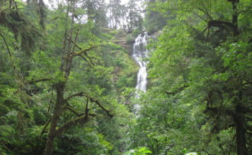 oregon coast waterfall munson creek falls