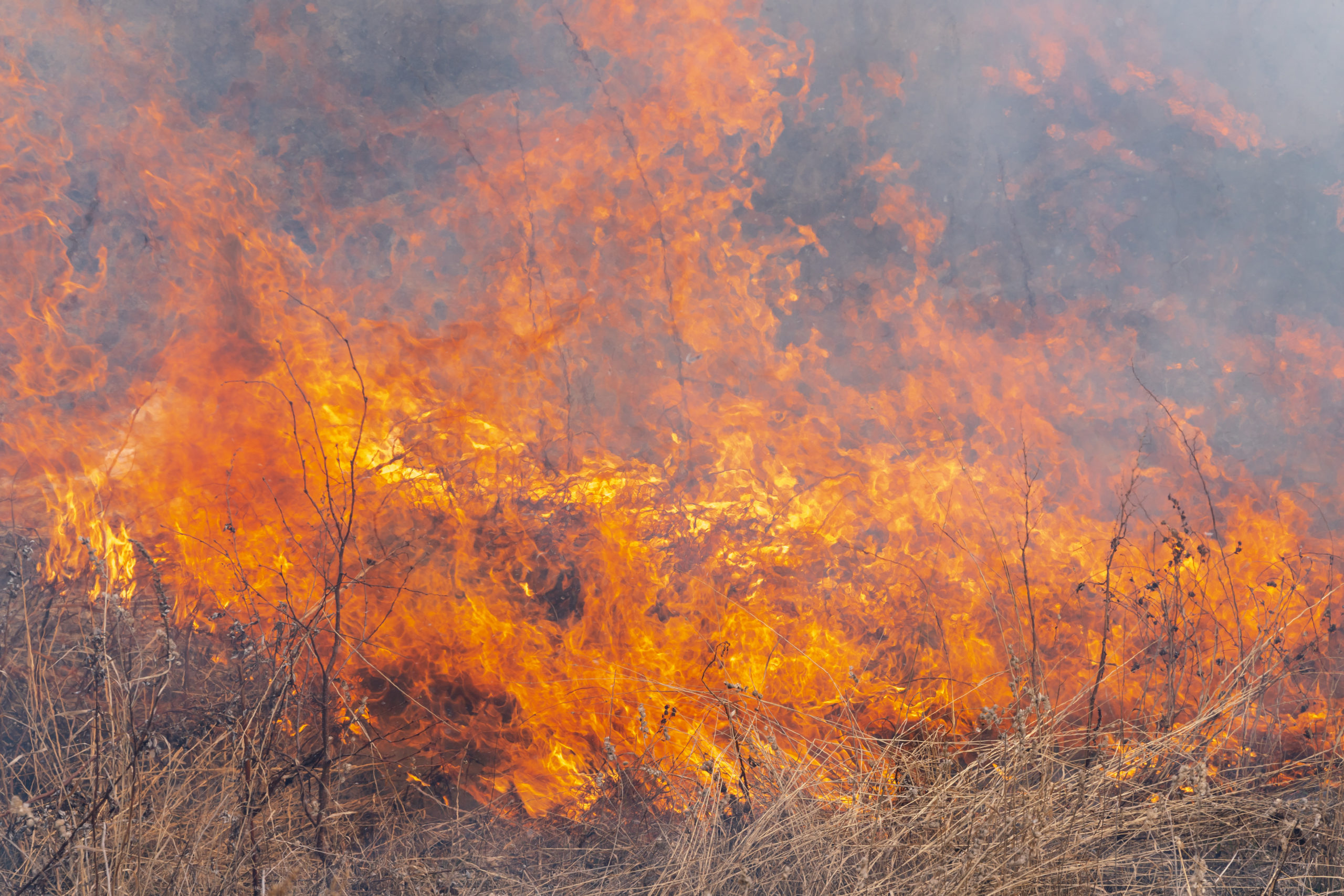 Excessive Heat, Thunderstorms, Fire Near Border A Concern For Wildfires In Southern Oregon