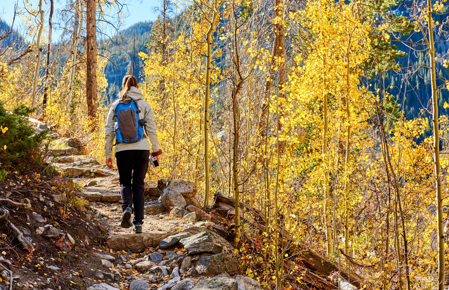 Fall Foliage In Oregon: 5 Breathtaking Autumn Adventures