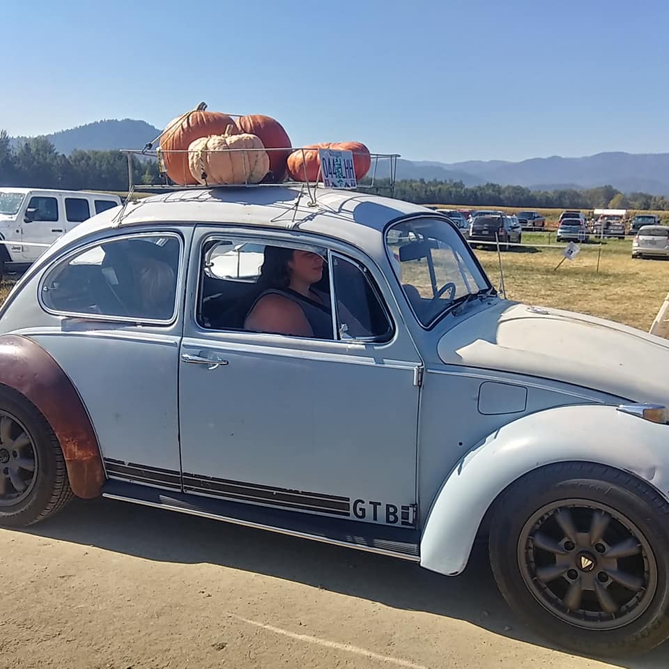 Pumpkins in the roof rack of a car.