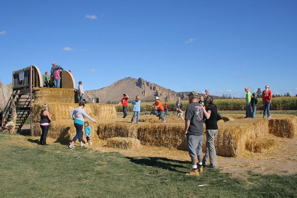 Kids and adults play on a playground made of hay.
