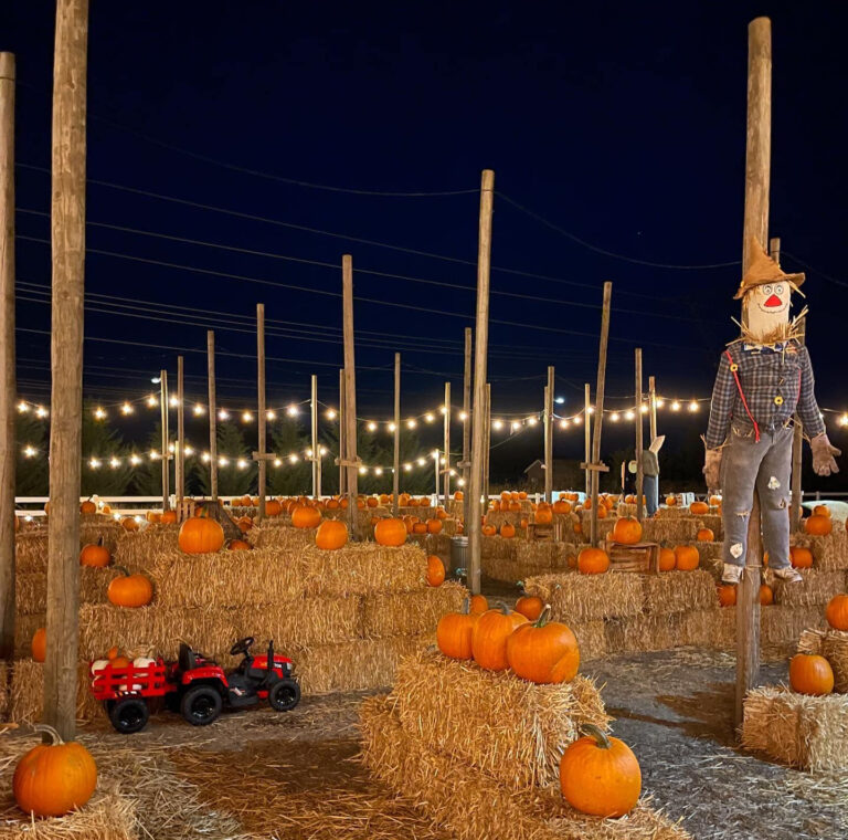 Pumpkins, hay, a scarecrow and string lights at an Oregon pumpkin patch in Wilsonville.