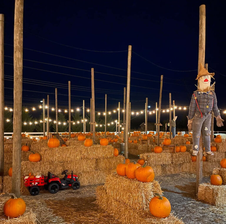 Your Ultimate 2024 Oregon Pumpkin Patch, Hayride & Maze Guide