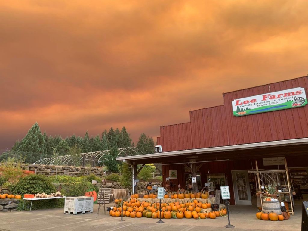 Pumpkins in front of a red country store.