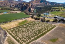 An aerial view of a corn maze at Smith Rock Ranch with brown mountains in the background.