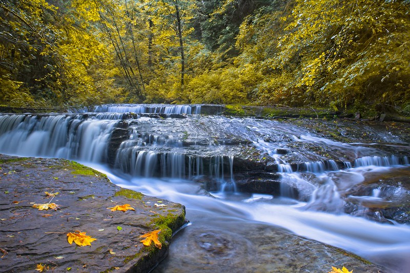 6 Stunning Fall Foliage Hikes in Oregon - Clever Neighbor