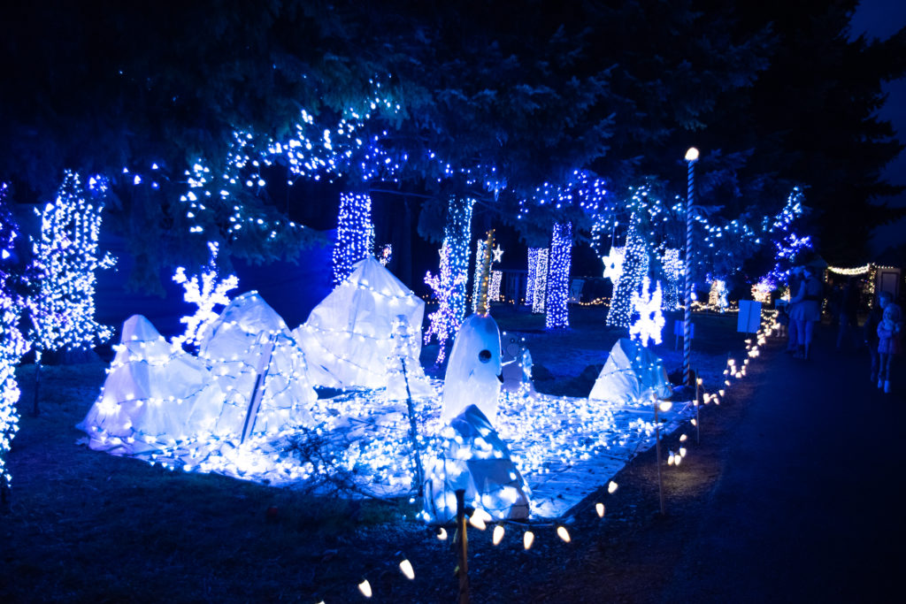 Experience One Million Christmas Lights When You Book A Stay At The Oregon