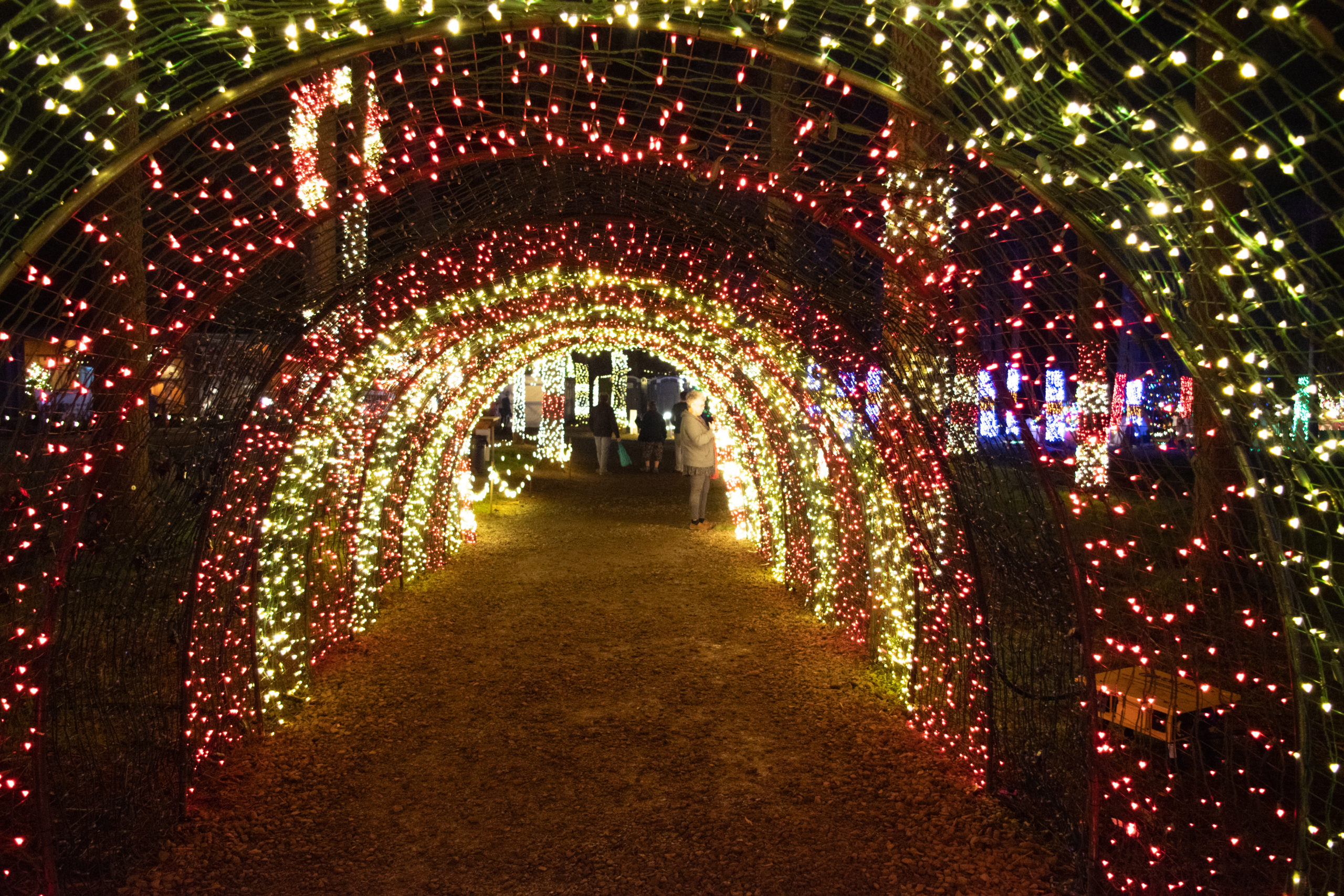 Experience One Million Christmas Lights When You Book A Stay At The Oregon