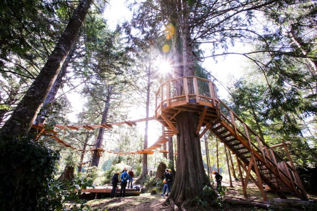 Salishan Aerial Park platforms in Gleneden Beach