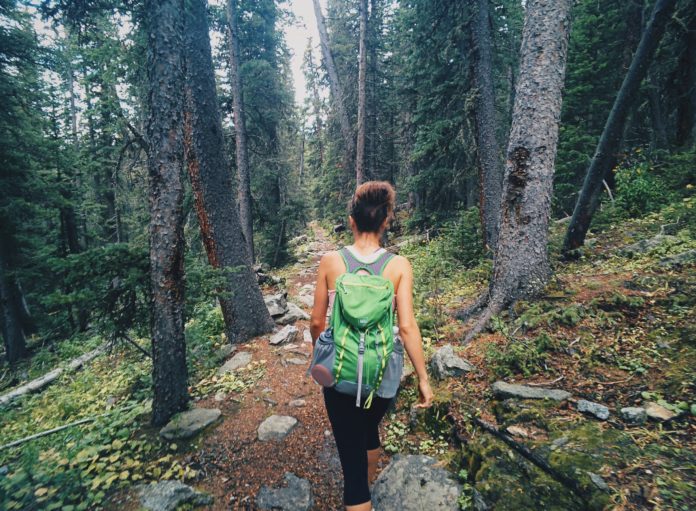 A woman hiking in the woods