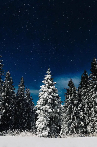 Mount Hood National Forest In The Snow