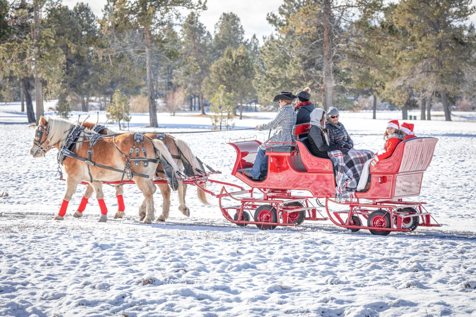 Take a Real HorseDrawn Sleigh Ride Though Oregon's Winter Wonderland