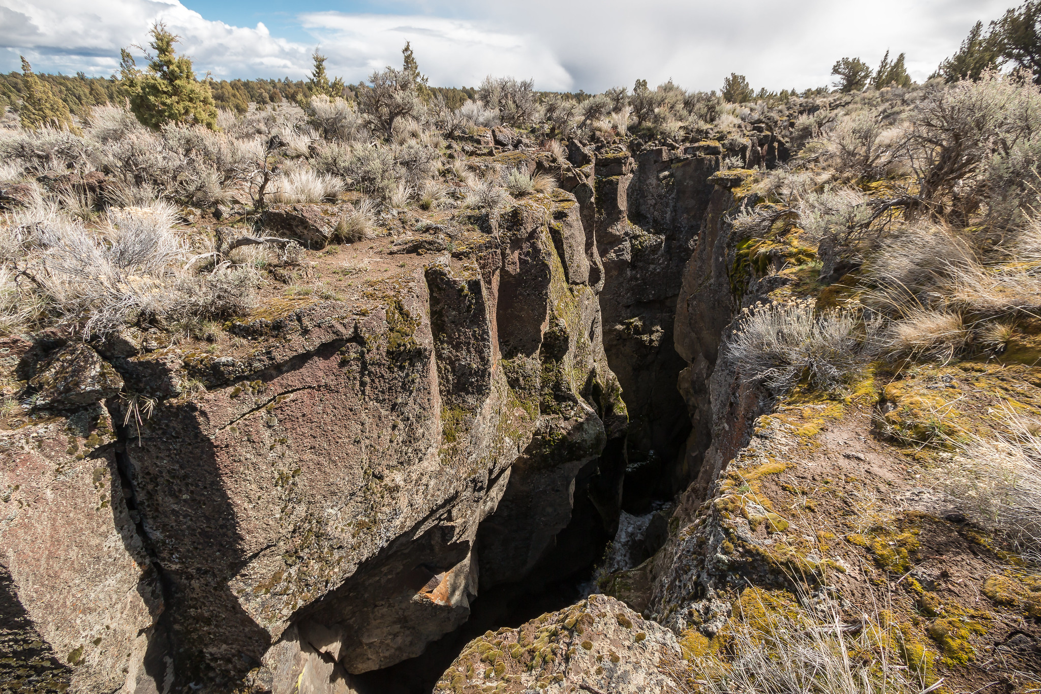 crack in the ground