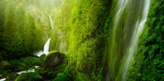 A waterfall in a lush green landscape.