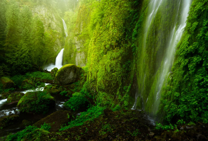 A waterfall in a lush green landscape.