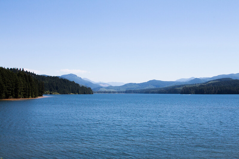 dorena lake, cascade mountains, craft beer