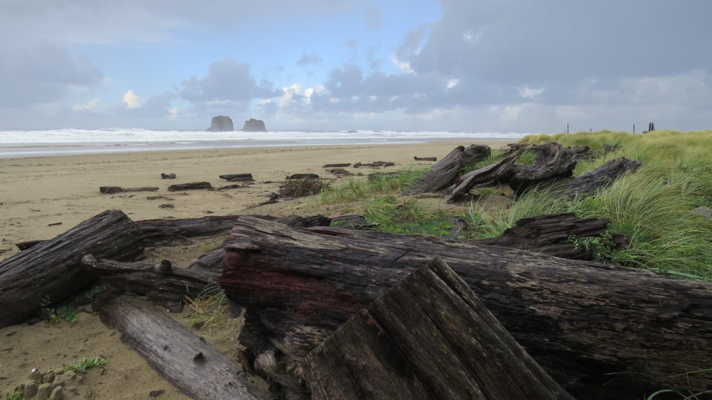 Picking Stone, Manzanita, Tillamook County, Oregon, USA - Stock