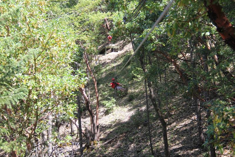 A person on a zipline at Rogue Valley Zipline Tour