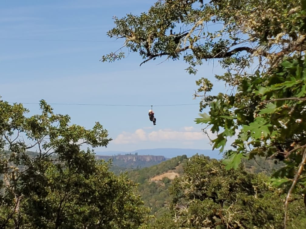 A person on a zipline at Rogue Valley Zipline Tour