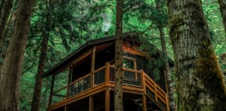The gorgeous Oregon cabin surrounded by green trees and cabin deck