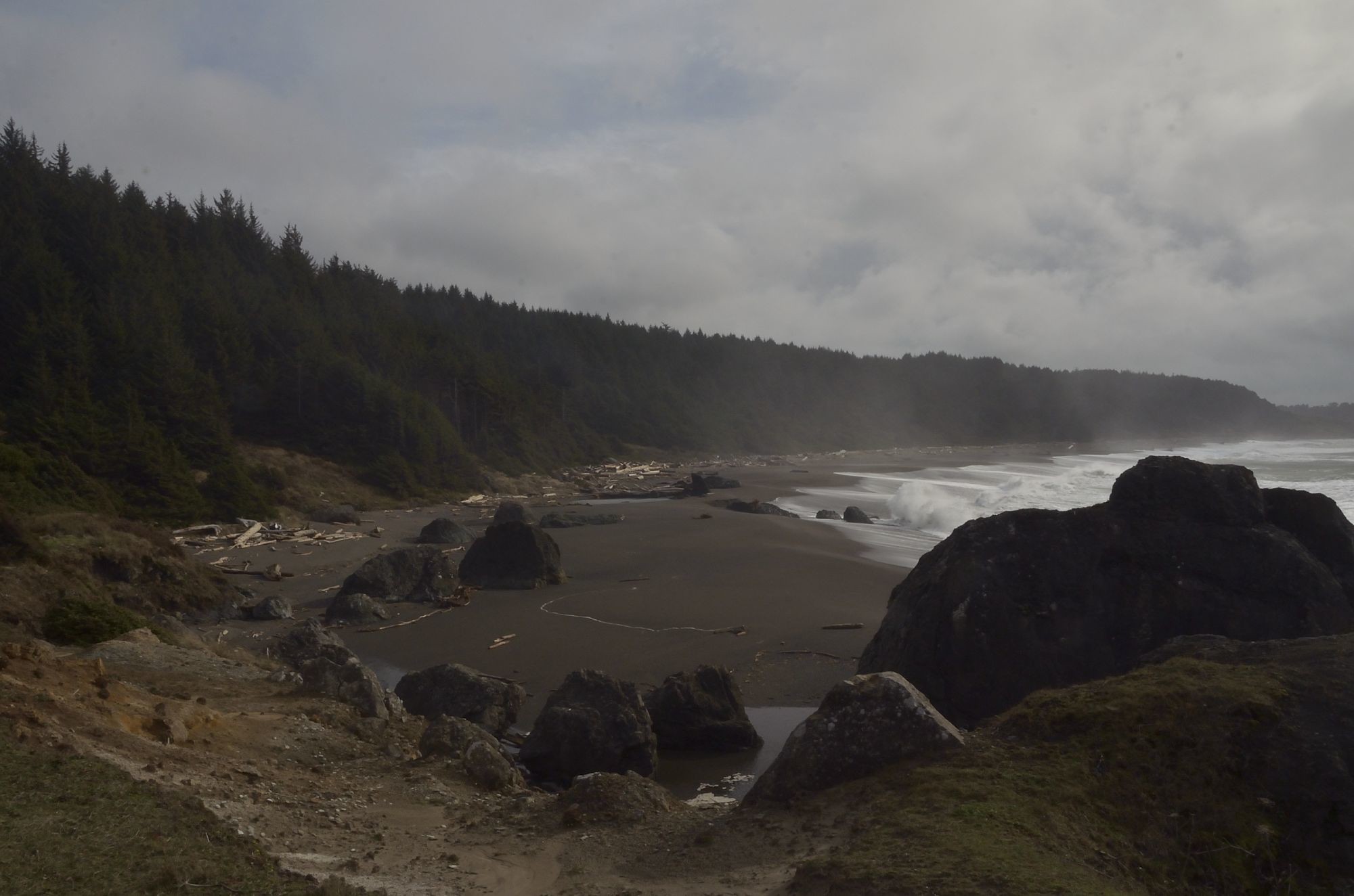 Foggy coastline at Blacklock Point.