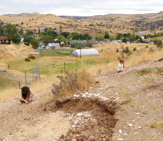 Fossil digging in Fossil Oregon