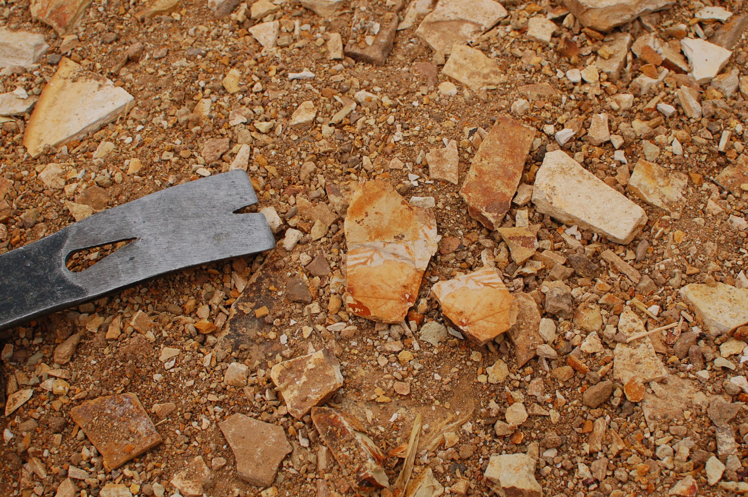 Dig Up Your Own 30 Million Year Old Fossils At This Oregon Park