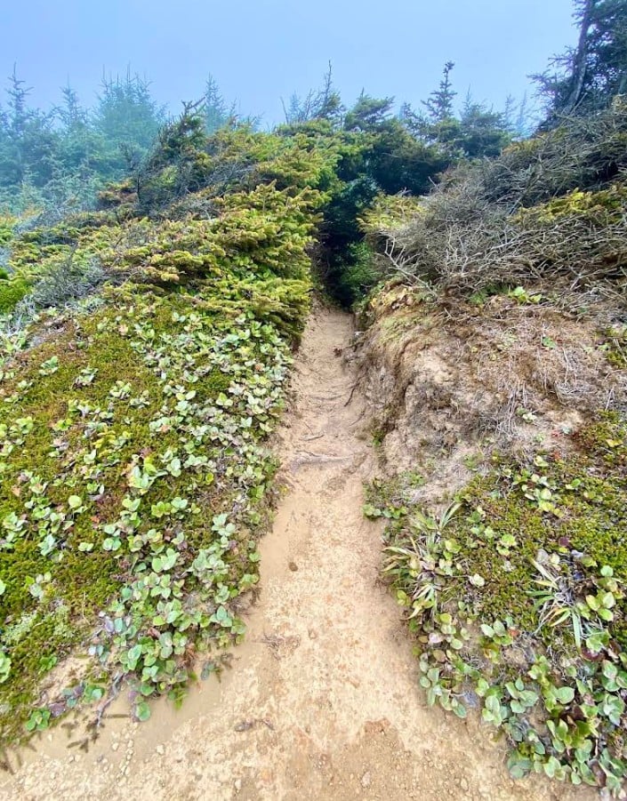 Blacklock Point, Floras Lake, Oregon Coast, Hiking, Southern Coast, Cape Blanco, Gold Beach, Curry County, Unique Landscapes, PNW, Pacific Northwest, Places To Go, Things To Do, Biking Trails, Windsurfing, Natural Beauty