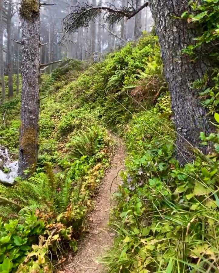 Blacklock Point, Floras Lake, Oregon Coast, Hiking, Southern Coast, Cape Blanco, Gold Beach, Curry County, Unique Landscapes, PNW, Pacific Northwest, Places To Go, Things To Do, Biking Trails, Windsurfing, Natural Beauty