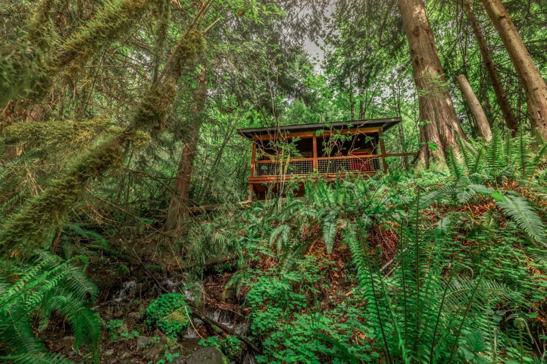 Stay The Weekend At One Of Oregon's Most Gorgeous Secluded Cabins