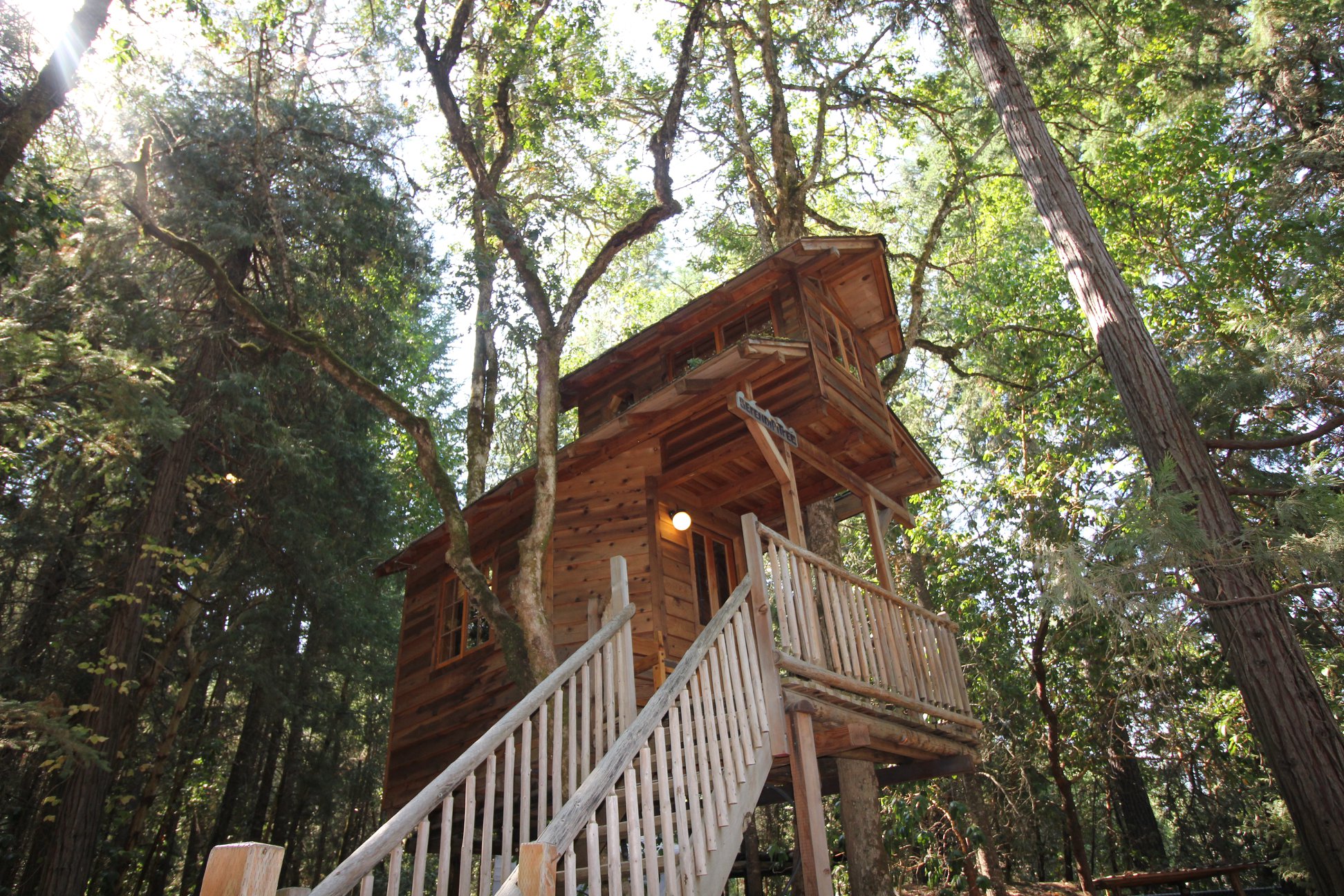 Stay A Night At One Of These Magical Oregon Treehouses That Oregon Life   34534692 1611337228964173 3231802855463583744 N 