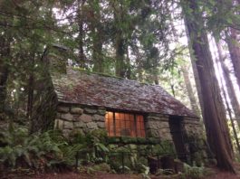 A stone cabin in the forest.