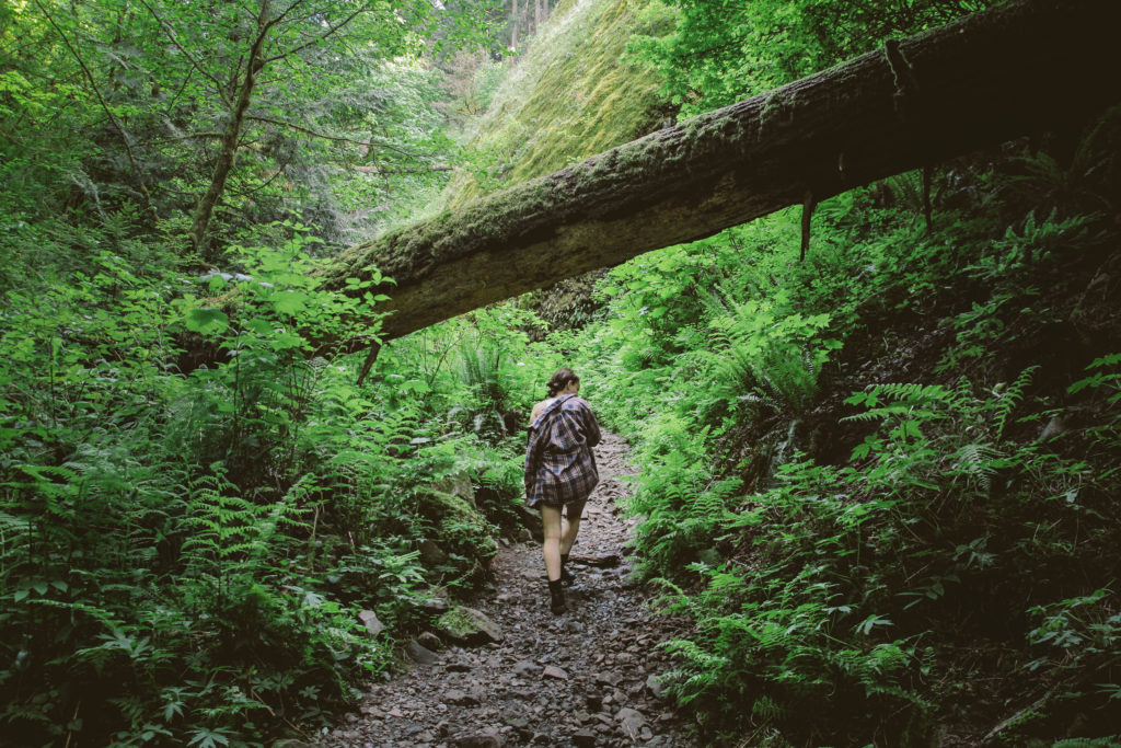 26 Majestic Oregon Waterfall Hikes You Must Hike Before You Die