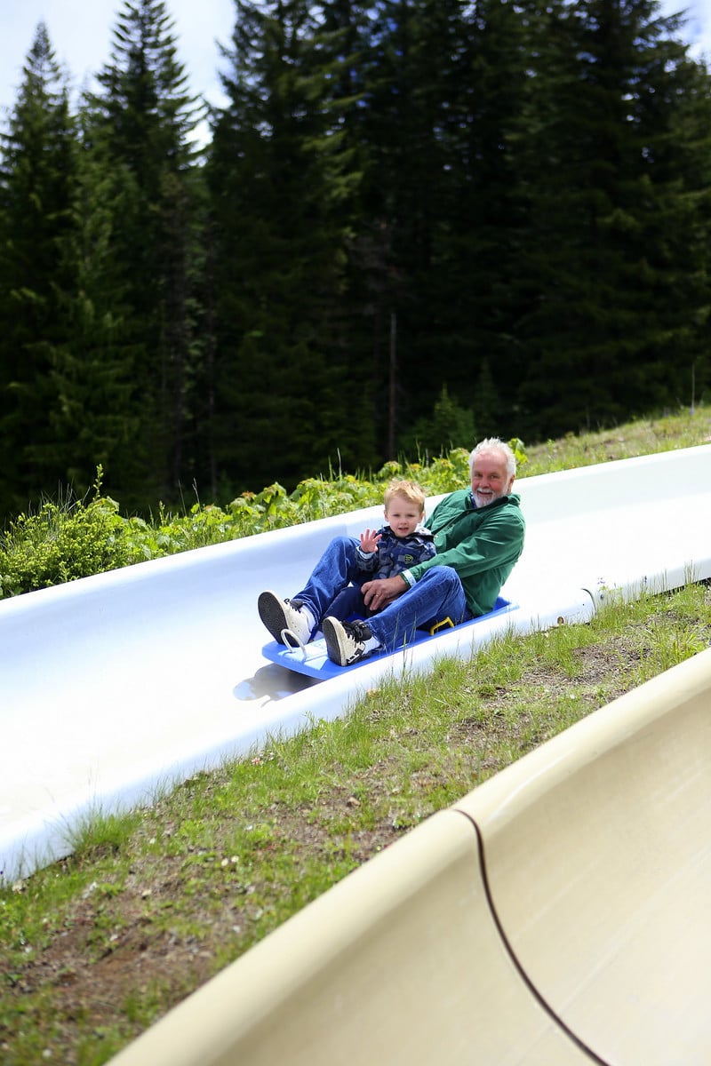 alpine slide