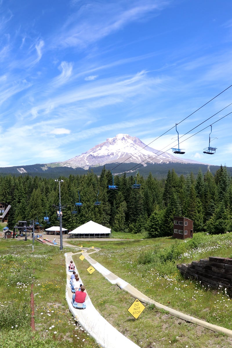 alpine slide