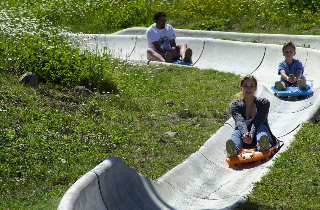 alpine slide