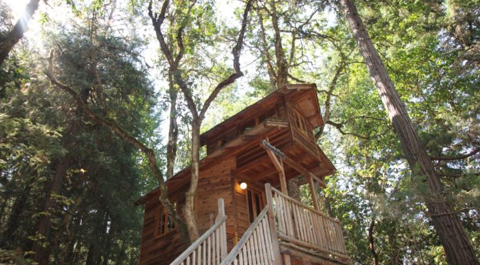 Treehouse at Out'n'About Treesort.