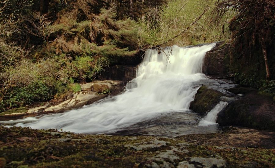 alsea falls things to do in oregon, yachats