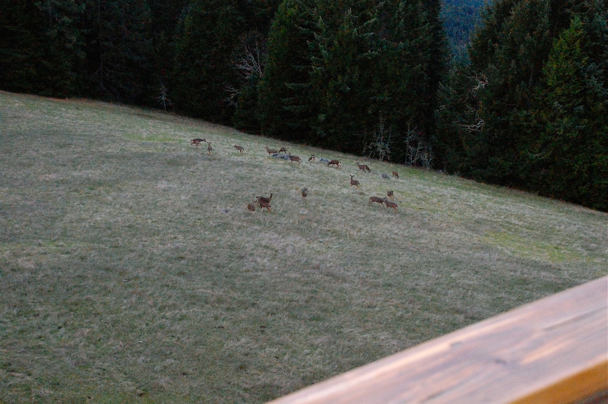 Wildlife grazing in the meadow beneath the lookout tower