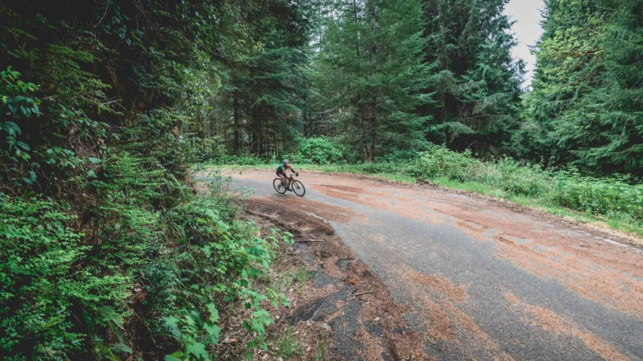 cycling in yachats oregon