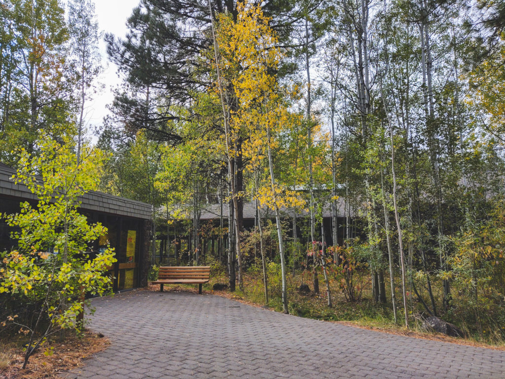 The outside of the High Desert Museum in fall with quaking aspen that are just starting to turn from green to yellow.  There is a wooden bench outside the door.